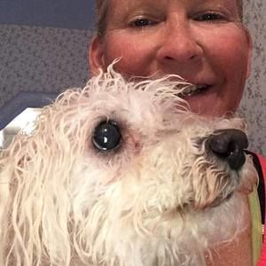 Meet your Posher, Jo